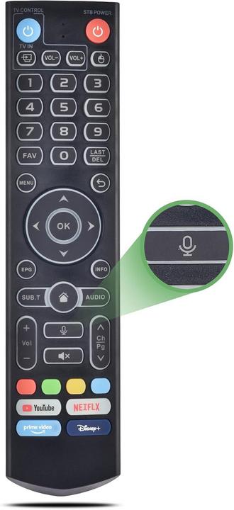 Replacement Voice Remote: A Perfect Gift for 2026